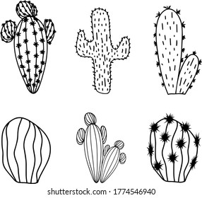 A set of cactus in black and white, vector illustration, print, cover design, posters, postcards, fashion industry 