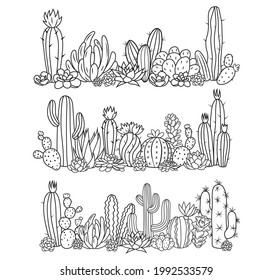 Set of cactus border. Collection of wall succulents flower. Gardening plants. Floral exotic decor. Vector illustration on white background.