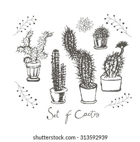 Set of cactus. A set of cacti - line drawing. Vector illustration of a cactus isolated on a white background. Cactus in a pot. Cute hand drawn vector cactus in the pots. Western landscape.