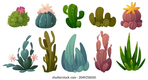 Set of cactus, desert cacti flowers stetsonia, carnegia, selenicereus and rhipsalidopsis with saguaro or opuntia. Cartoon blooming succulents with green prickly leaves and blossoms Vector illustration