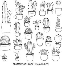 Set of Cactus Drawing illustration Hand drawn doodle Sketch line vector