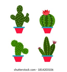 set cactus in a flat style on a white background.