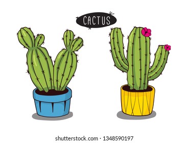 Set of cactus in flower pots on white background - vector