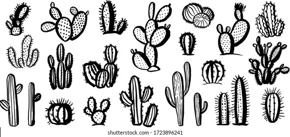 Set of cactus. Hand drawn illustration. Isolated elements for design.