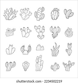 Set of cactus, Hand drawn illustration, line drawing