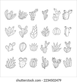 Conjunto de cactus, ilustración dibujada a mano, dibujo de línea de estilo de doodle
