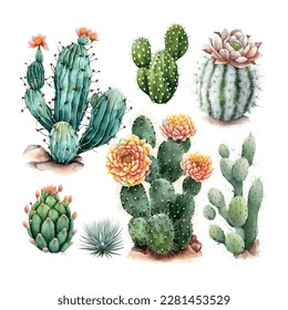 Dibujo de Cactus Hand en acuarela