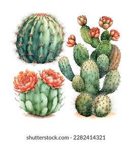 Set of Cactus Hand drawn illustration in watercolor