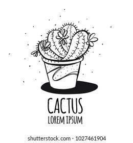 Set of cactus. Hand drawn succulent ornament. Ink illustration. A set of cacti - line drawing. Vector illustration of a cactus isolated on a white background. Cute hand drawn vector cactus .