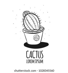 Set of cactus. Hand drawn succulent ornament. Ink illustration. A set of cacti - line drawing. Vector illustration of a cactus isolated on a white background. Cute hand drawn vector cactus.