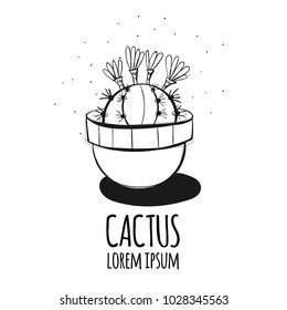 Set of cactus. Hand drawn succulent ornament. Ink illustration. A set of cacti - line drawing. Vector illustration of a cactus isolated on a white background. Cute hand drawn vector cactus.