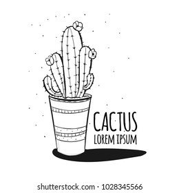 Set of cactus. Hand drawn succulent ornament. Ink illustration. A set of cacti - line drawing. Vector illustration of a cactus isolated on a white background. Cute hand drawn vector cactus.