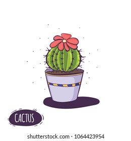 Set of cactus. Hand drawn succulent ornament. Color illustration. A set of cacti - line drawing. Vector illustration of a cactus isolated on a white background. Cute hand drawn vector cactus .