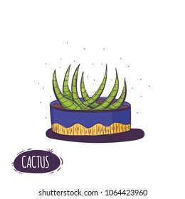 Set of cactus. Hand drawn succulent ornament. Color illustration. A set of cacti - line drawing. Vector illustration of a cactus isolated on a white background. Cute hand drawn vector cactus .