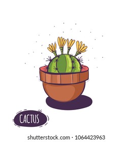 Set of cactus. Hand drawn succulent ornament. Color illustration. A set of cacti - line drawing. Vector illustration of a cactus isolated on a white background. Cute hand drawn vector cactus .