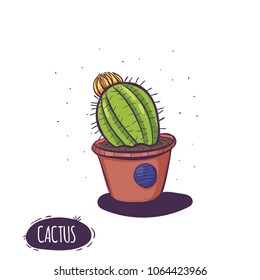 Set of cactus. Hand drawn succulent ornament. Color illustration. A set of cacti - line drawing. Vector illustration of a cactus isolated on a white background. Cute hand drawn vector cactus .