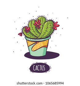 Set of cactus. Hand drawn succulent ornament. Color illustration. A set of cacti - line drawing. Vector illustration of a cactus isolated on a white background. Cute hand drawn vector cactus .