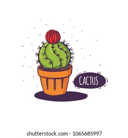Set of cactus. Hand drawn succulent ornament. Color illustration. A set of cacti - line drawing. Vector illustration of a cactus isolated on a white background. Cute hand drawn vector cactus .