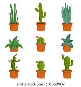 Set of cactus houseplants in flower pots. Cactus icons in a flat style on a white background. Succulent plants. Vector illustration