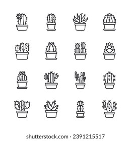 Set of cactus icon isolated on white