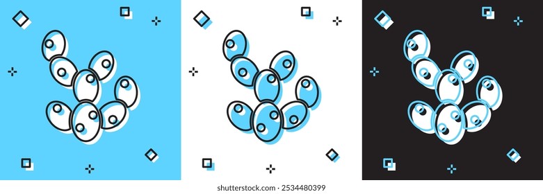 Set Cactus icon isolated on blue and white, black background.  Vector