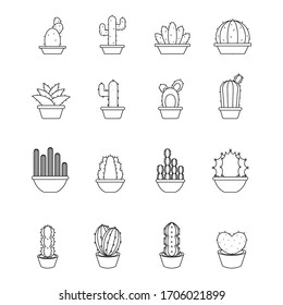 Set of cactus iconc in a pot plants. Cactus outline - Vector illustration