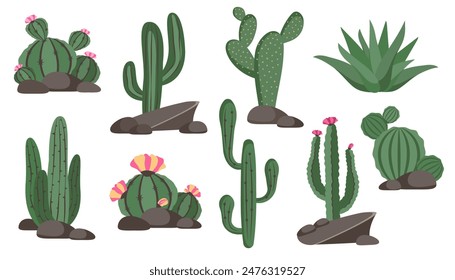 Set of cactus isolated on white background. Herbal design. Floral icon. Collection of mexican wild cactus with flower, stones, desert plants. Vector cartoon illustration