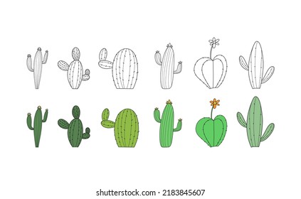 Set of Cactus on White Background