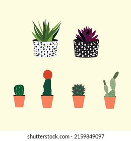 set cactus on yellow background