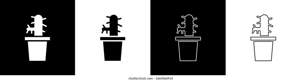 Set Cactus peyote in pot icon isolated on black and white background. Plant growing in a pot. Potted plant sign.  Vector Illustration