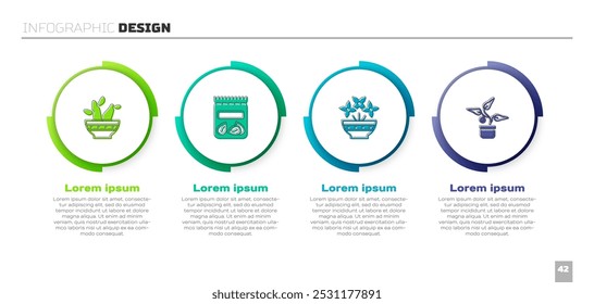 Set Cactus peyote in pot, Pack full of seeds of plant, Flower vase and Plant. Business infographic template. Vector