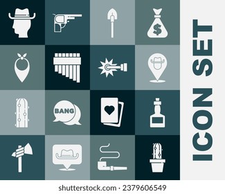 Set Cactus peyote in pot, Tabasco sauce, Location cowboy, Shovel, Pan flute, Cowboy bandana,  and Spur icon. Vector