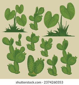 Set of Cactus and Plant Collection