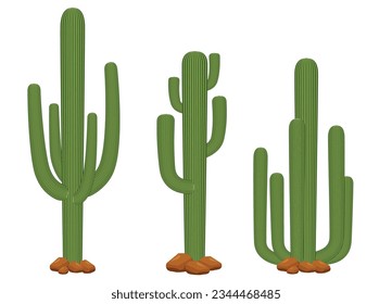 Set of cactus plant isolated on white background. Graphic vector