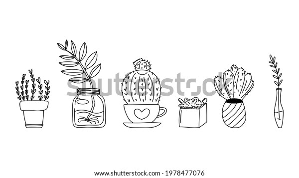 Set Cactus and plant line\
,hand drawing on isolated on white background ,Vector illustration\
EPS 10