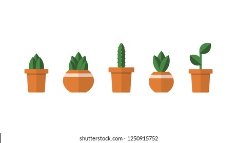 Set of cactus plants on white background in flat design.