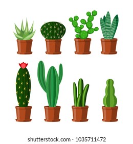 Set of cactus plants with spines in brown pots isolated on a white background. Flowering houseplant. Vector illustration