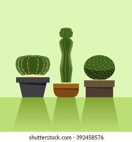 Set of Cactus in the Pot Set 2