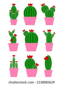 set of cactus in a pot