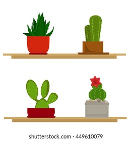 Set of cactus in a pot, house plants, flowering cactus, the plants are on the shelves, vector illustration