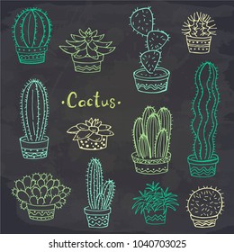 Set of cactus in a pot on chalkboard. Doodle. Vector illustration. Perfect for banner, invitation, greeting card, print.