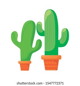 set cactus in pot plant isolated icon vector illustration design