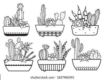 Juego de cactus en ollas. Colección de la flor de suculentos del hogar. Plantas de jardinería. Decoración floral exótica. Ilustración vectorial sobre fondo blanco. 