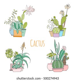 Set of cactus in pots Isolated on white background. Hand drawn vector decorative elements can be used for holiday cards, invitation, postcard, flyer, banner or website. Floral design.