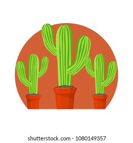 A set of cactus in pots. Vector illustration.
