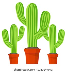 A set of cactus in pots. Vector illustration.
