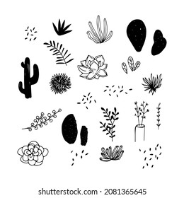 Set of cactus soculent plant vector hand drawn illustrations doodle art botanical graphic