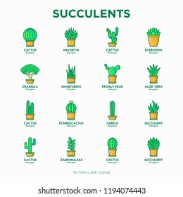 Set of cactus and succelents in pots. Thin line icons. Modern vector illustration of plants for house decoration.