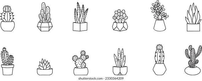 Set of Cactus and Succulent hand drawing