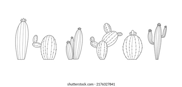 conjunto de ilustraciones suculentas de cactus en blanco y negro 